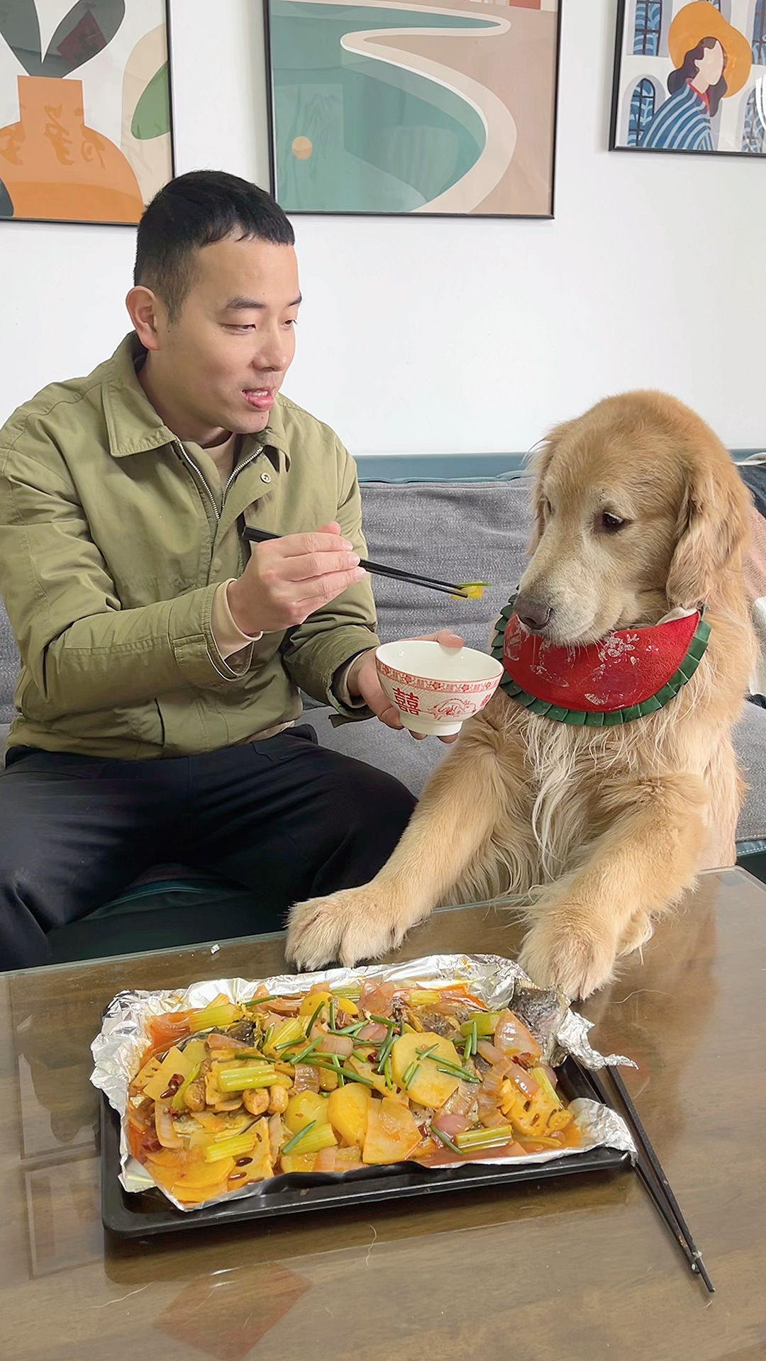 我是四毛的全部,对它好是应该的