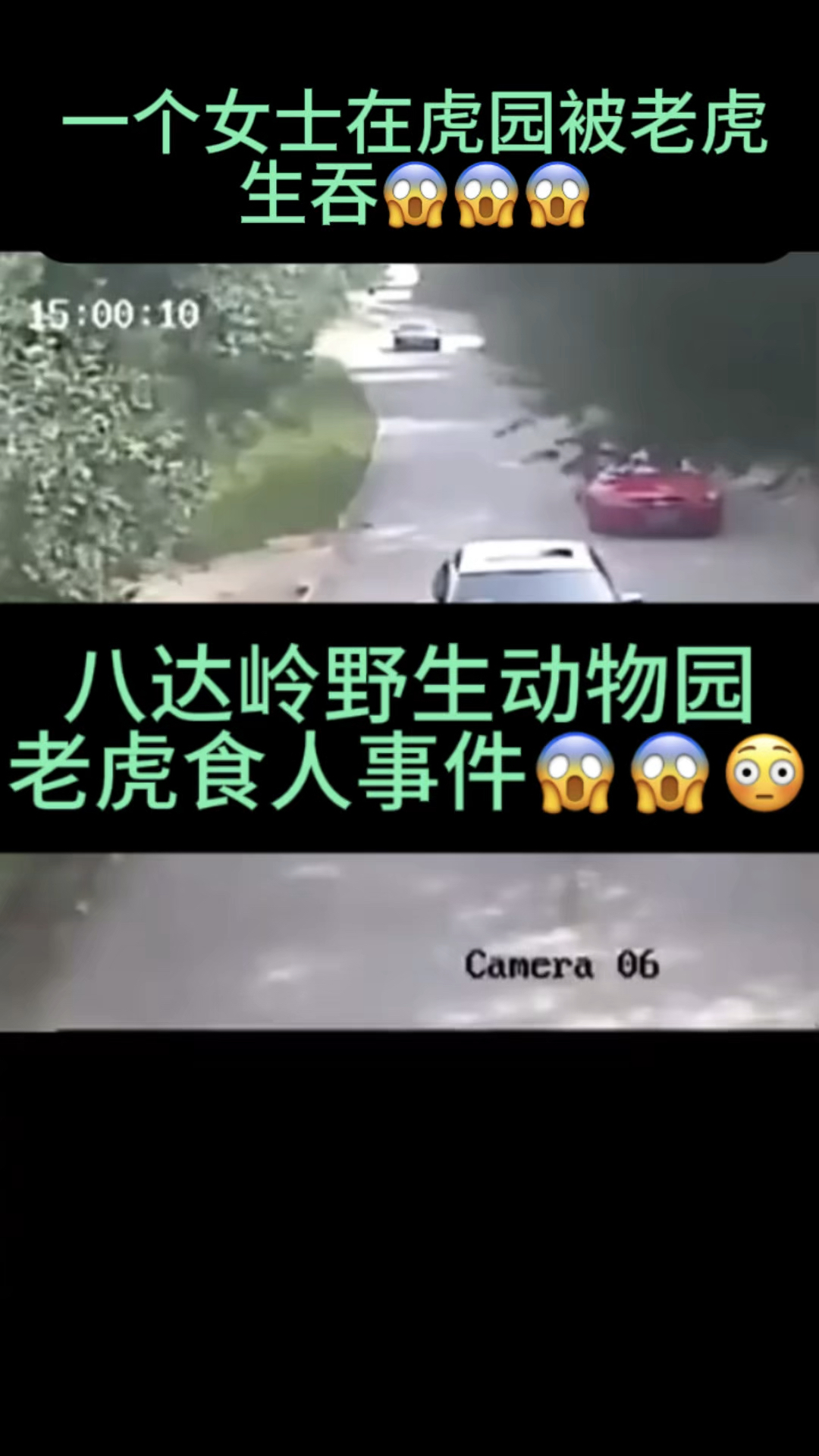 八达岭野生动物园老虎食人事件