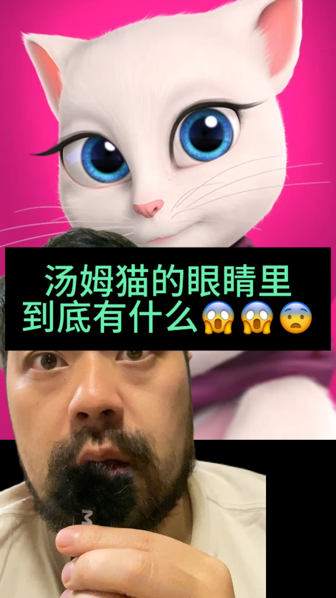 汤姆猫的眼睛里究竟有什么