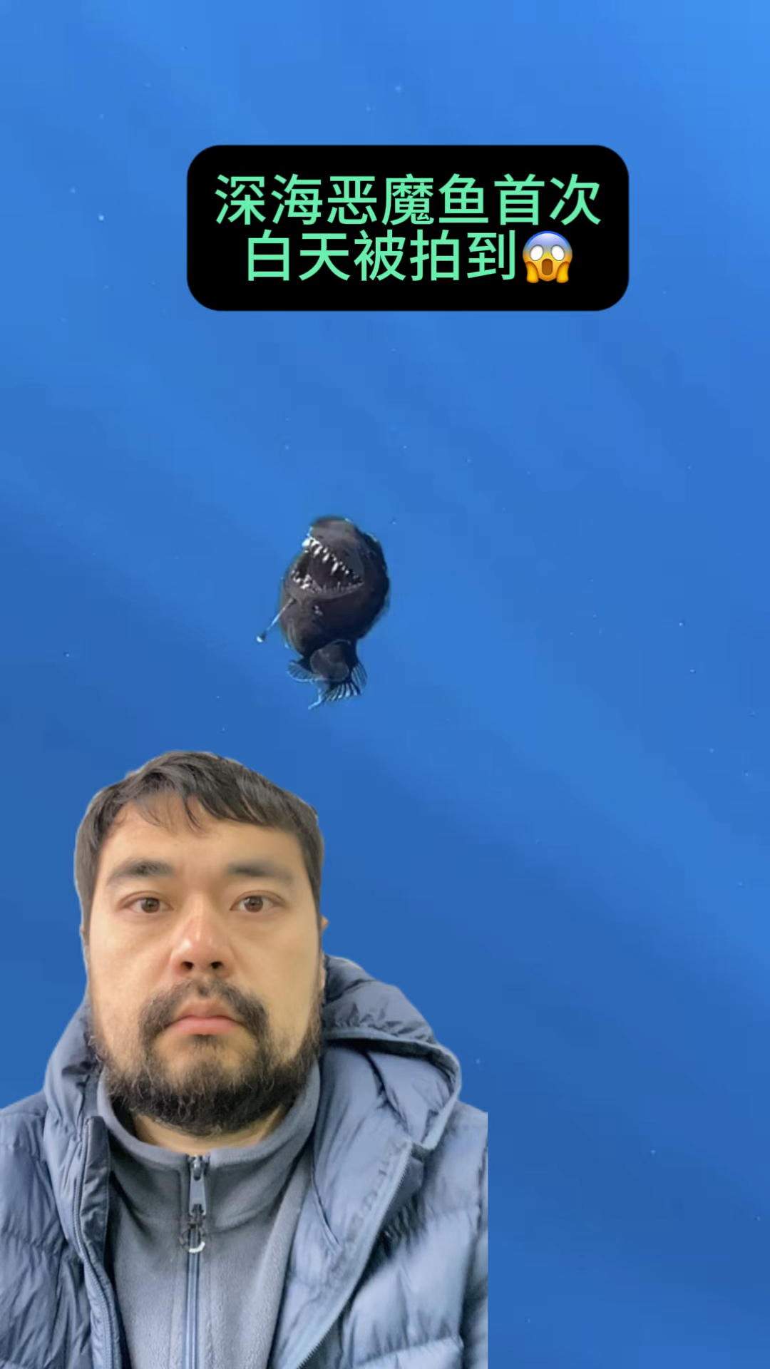 震撼!深海恶魔鱼首次白天被拍到