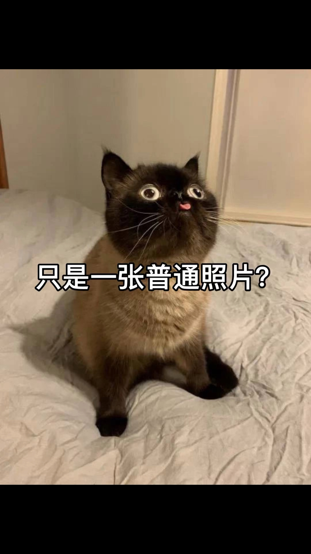 只是一张普通照片?muhehehehe
