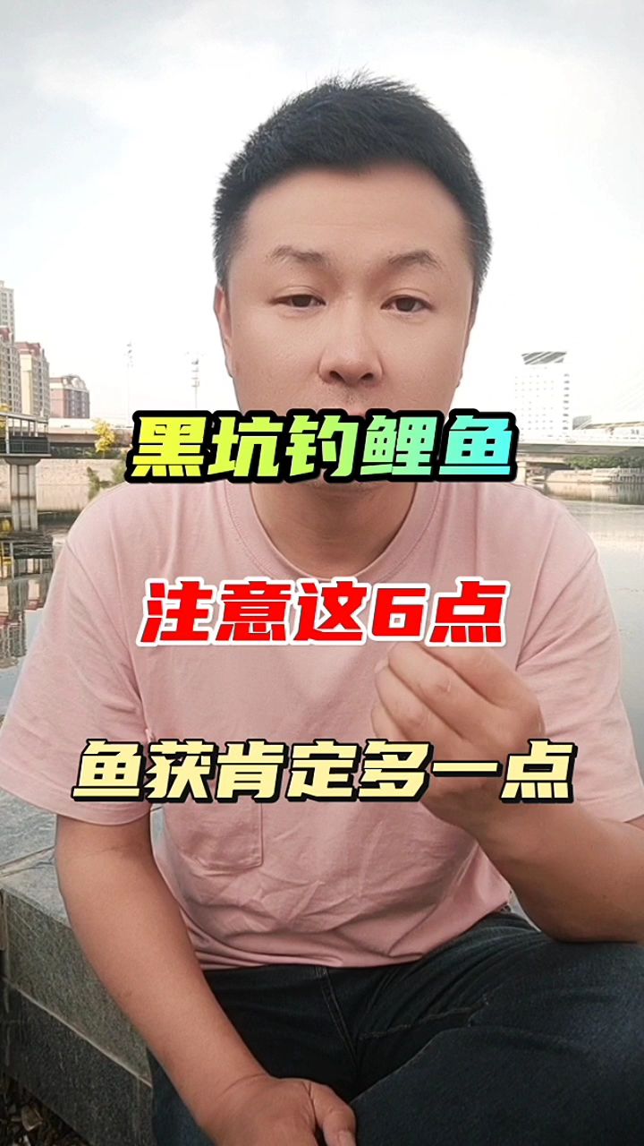 黑坑钓鲤鱼 注意这6点 鱼获肯定多一点