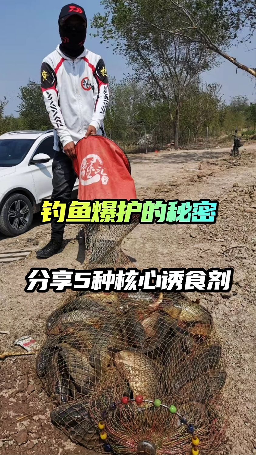 钓鱼爆护的秘密 分享5种核心诱食剂