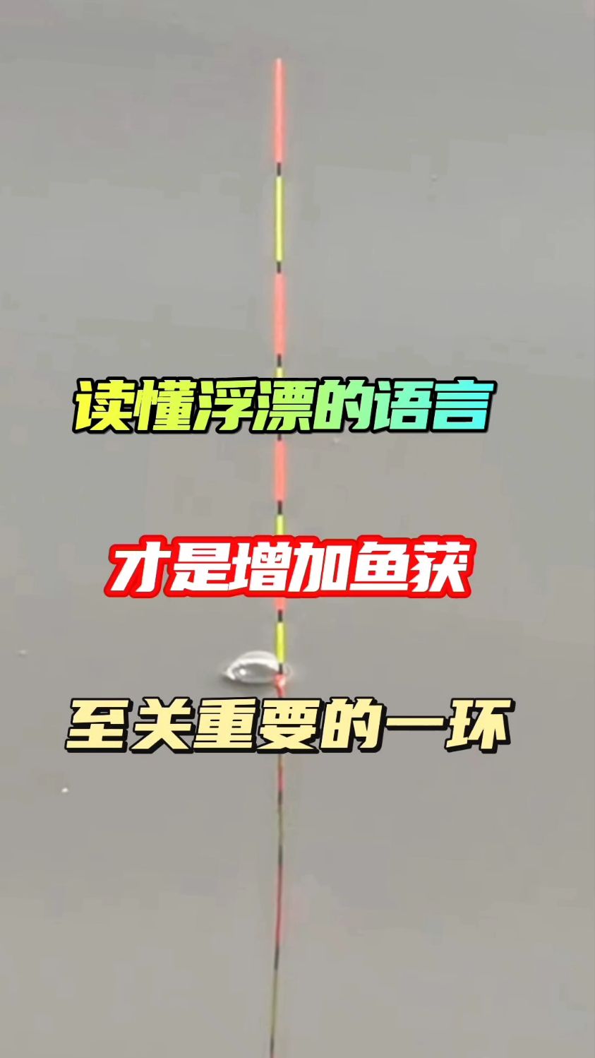 读懂浮漂的语言才是增加鱼获最重要的一环