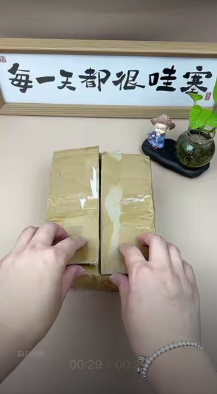 #钳子 #剥线钳 #电工钳 #钓鱼钳 #电工剪