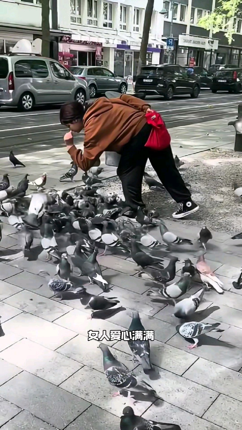 女人在广场上捉鸽子,怎么回事?