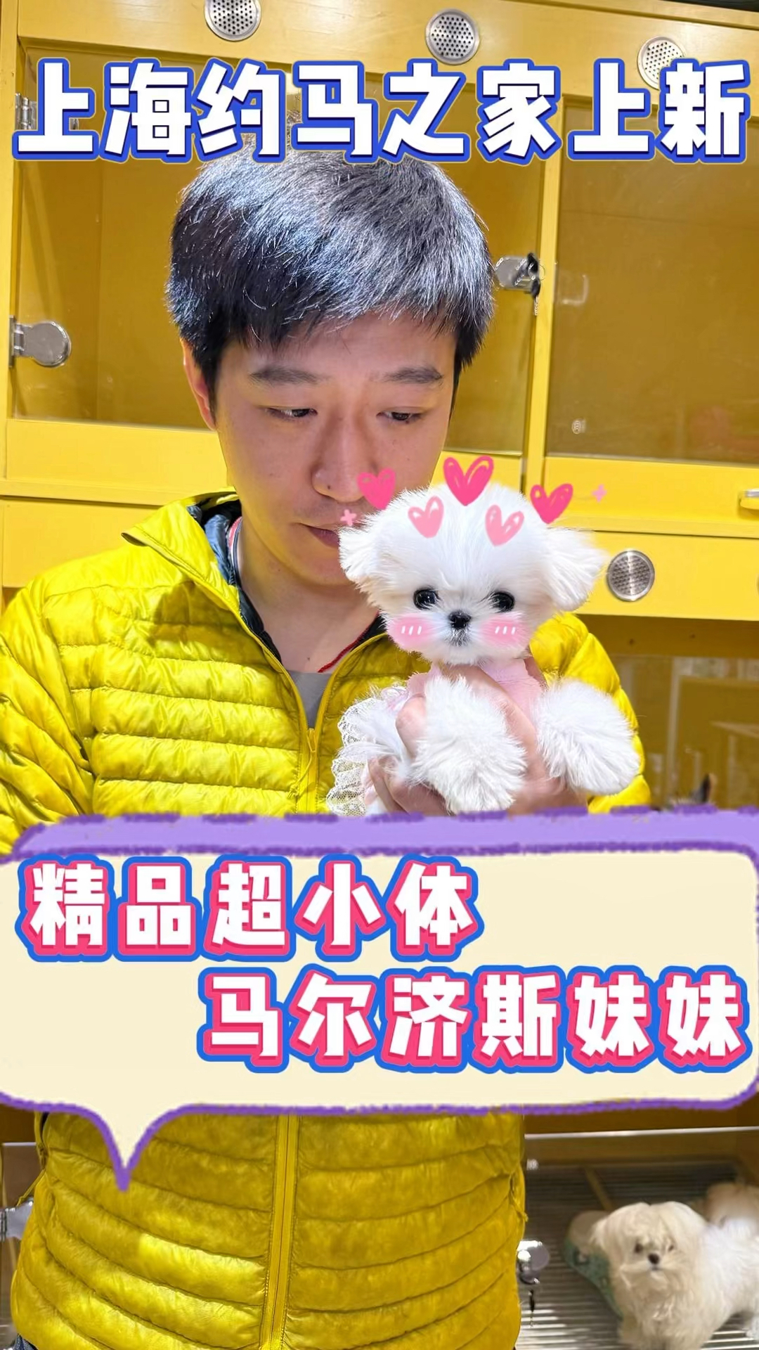 炒鸡可爱的“软萌妹子”!有木有心动的呀!