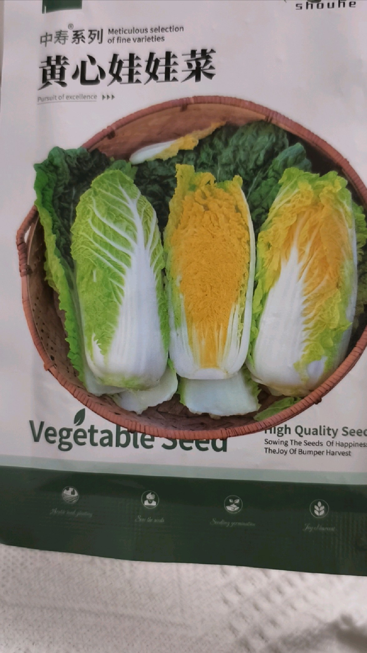 播种娃娃菜的过程