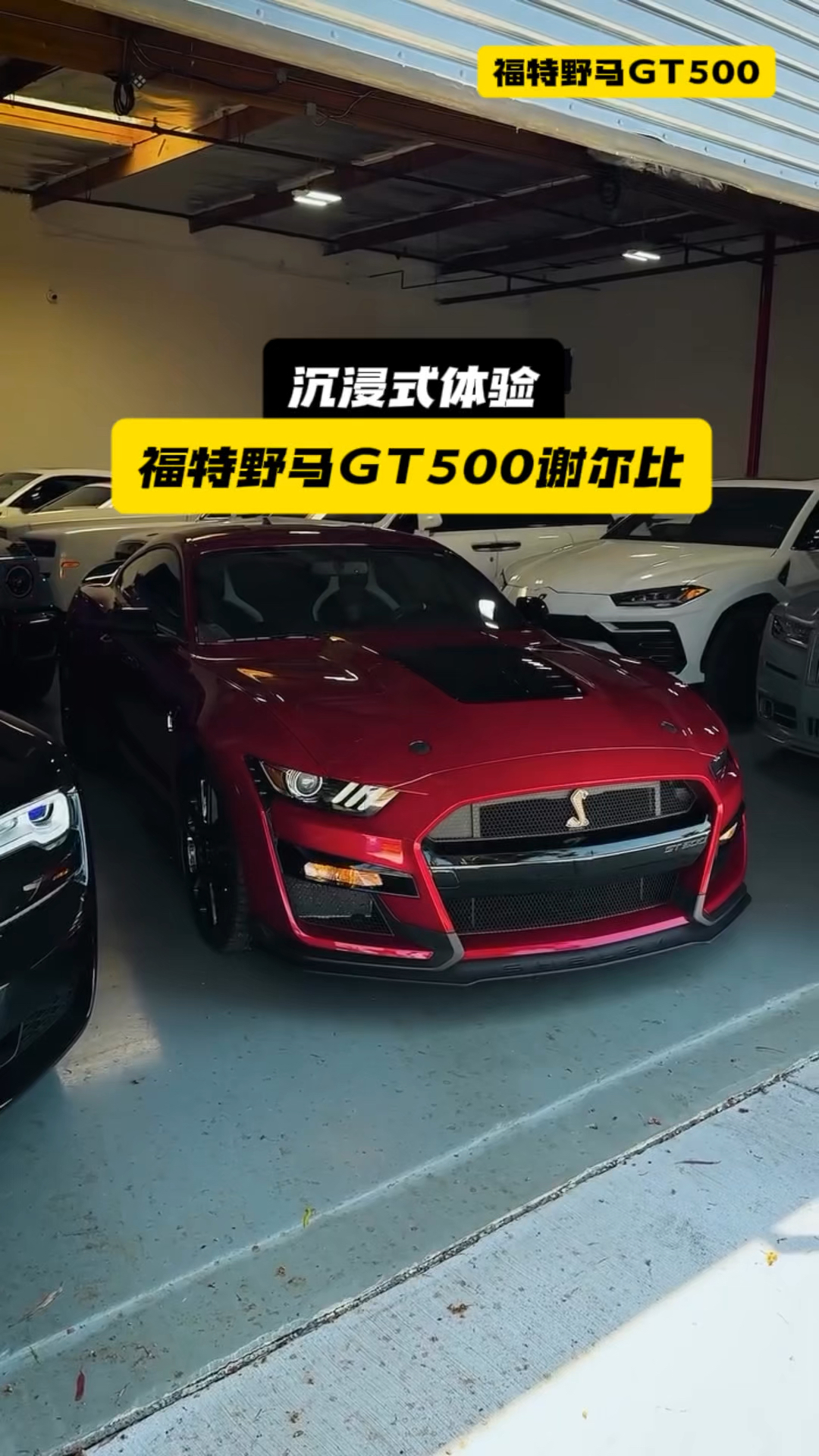 福特野马GT500谢尔比 沉浸式体验