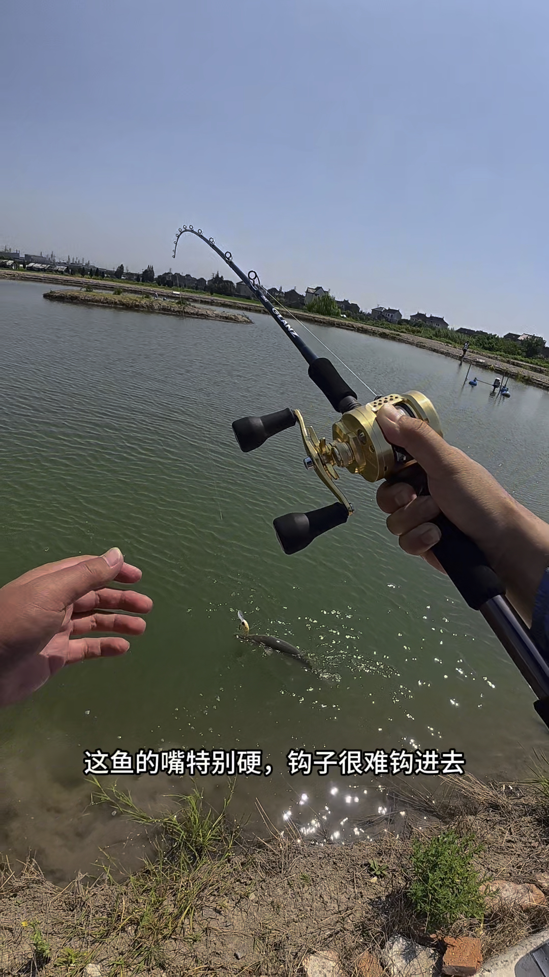 万万没想到这么大的饵居然中鱼了，体验感直接拉满！#路亚#钓鱼