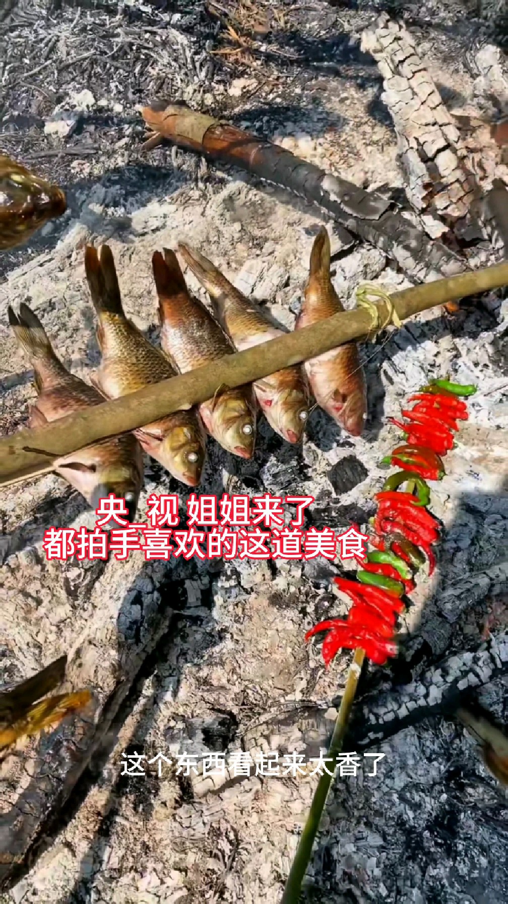贵州农村传承上1000年的美食,稻花鱼配上辣椒,央视妈妈都来吃