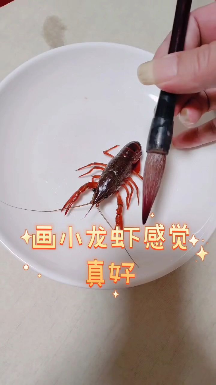画小龙虾感觉真好