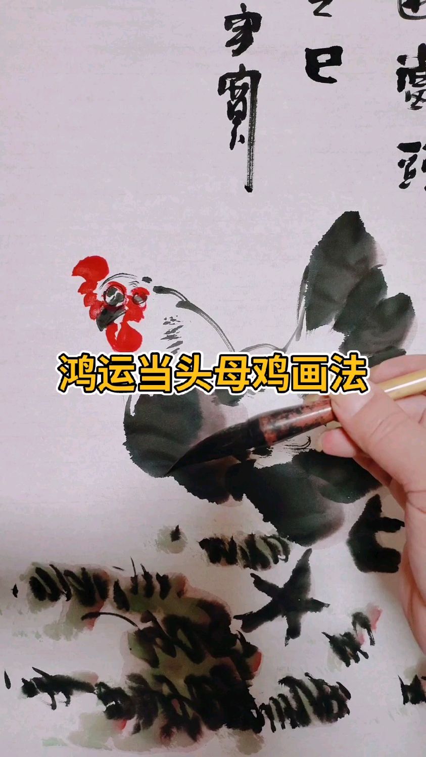 鸿运当头母鸡画法