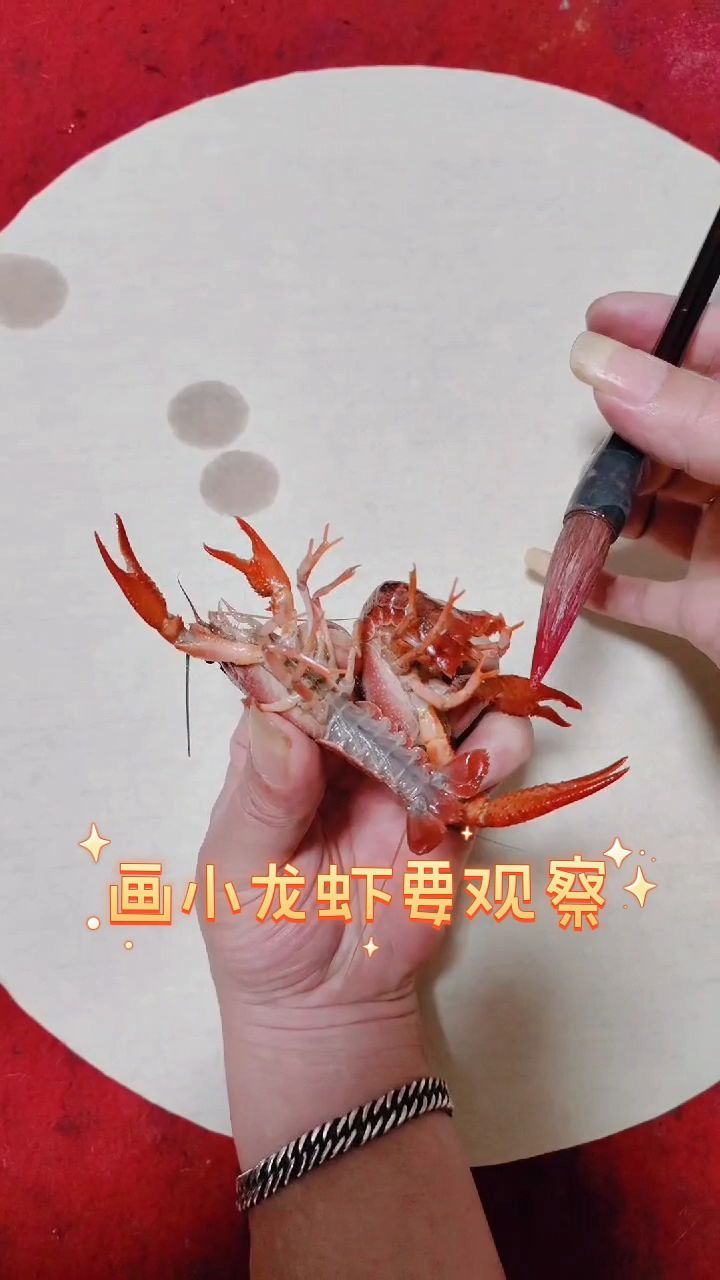 画小龙虾要学会观察