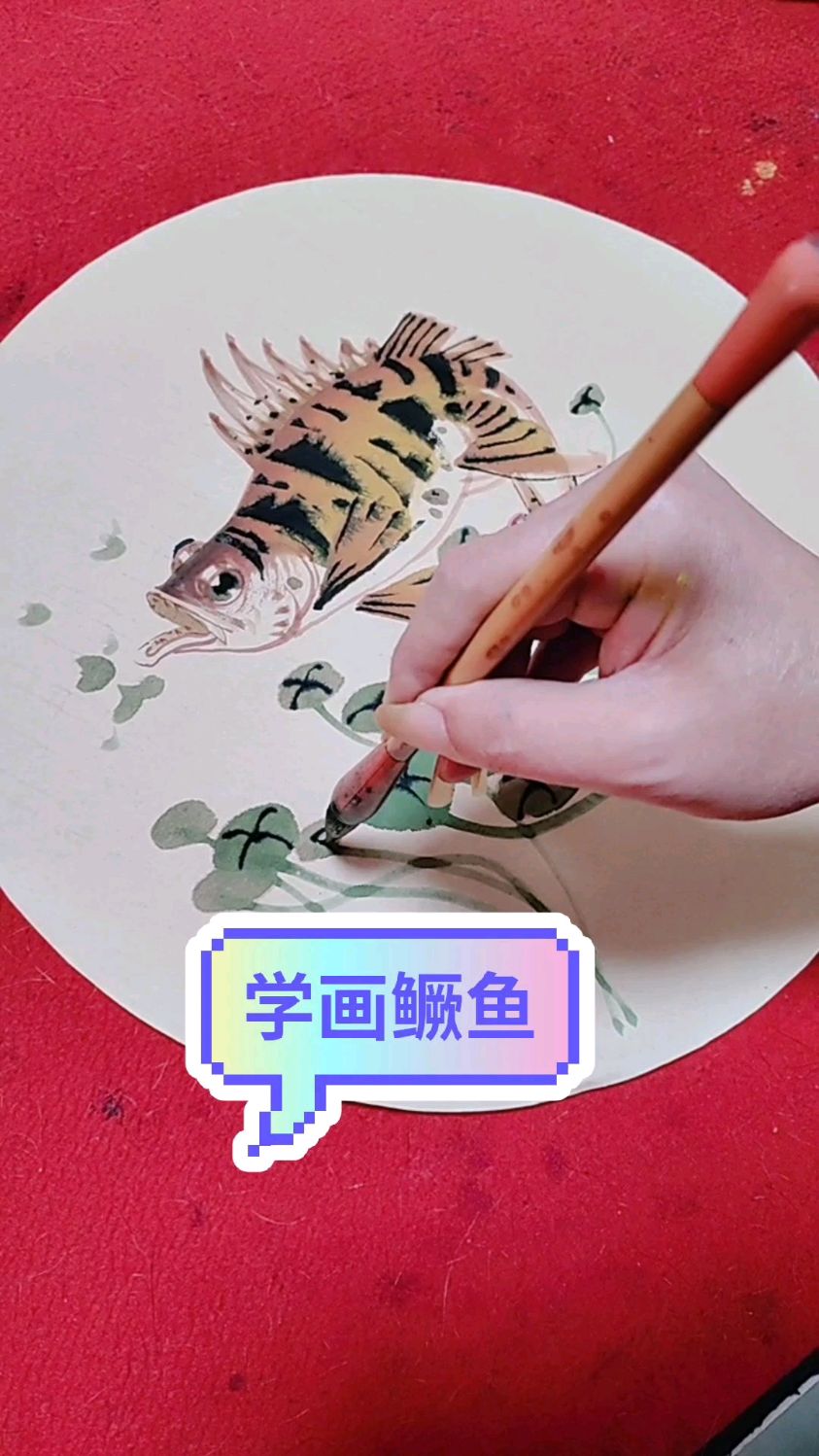 今天跟我学习鳜鱼画法吧