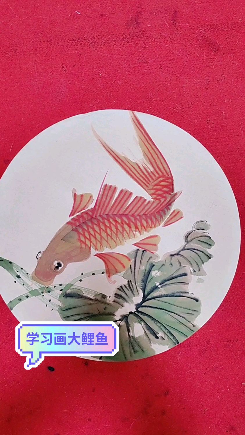 今天学习大鲤鱼的画法