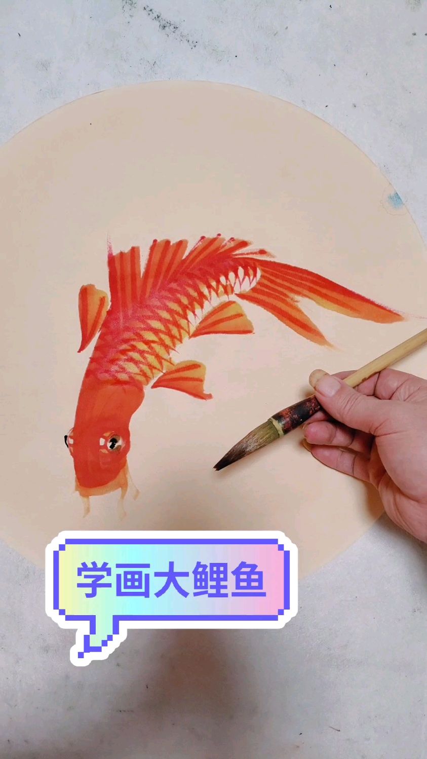 跟我学习画年年有余的鲤鱼