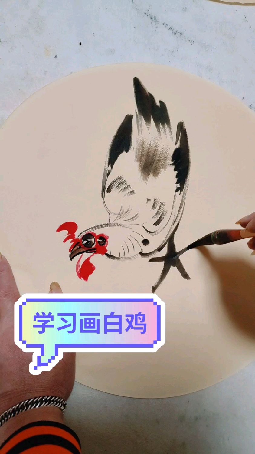教你白鸡的画法。