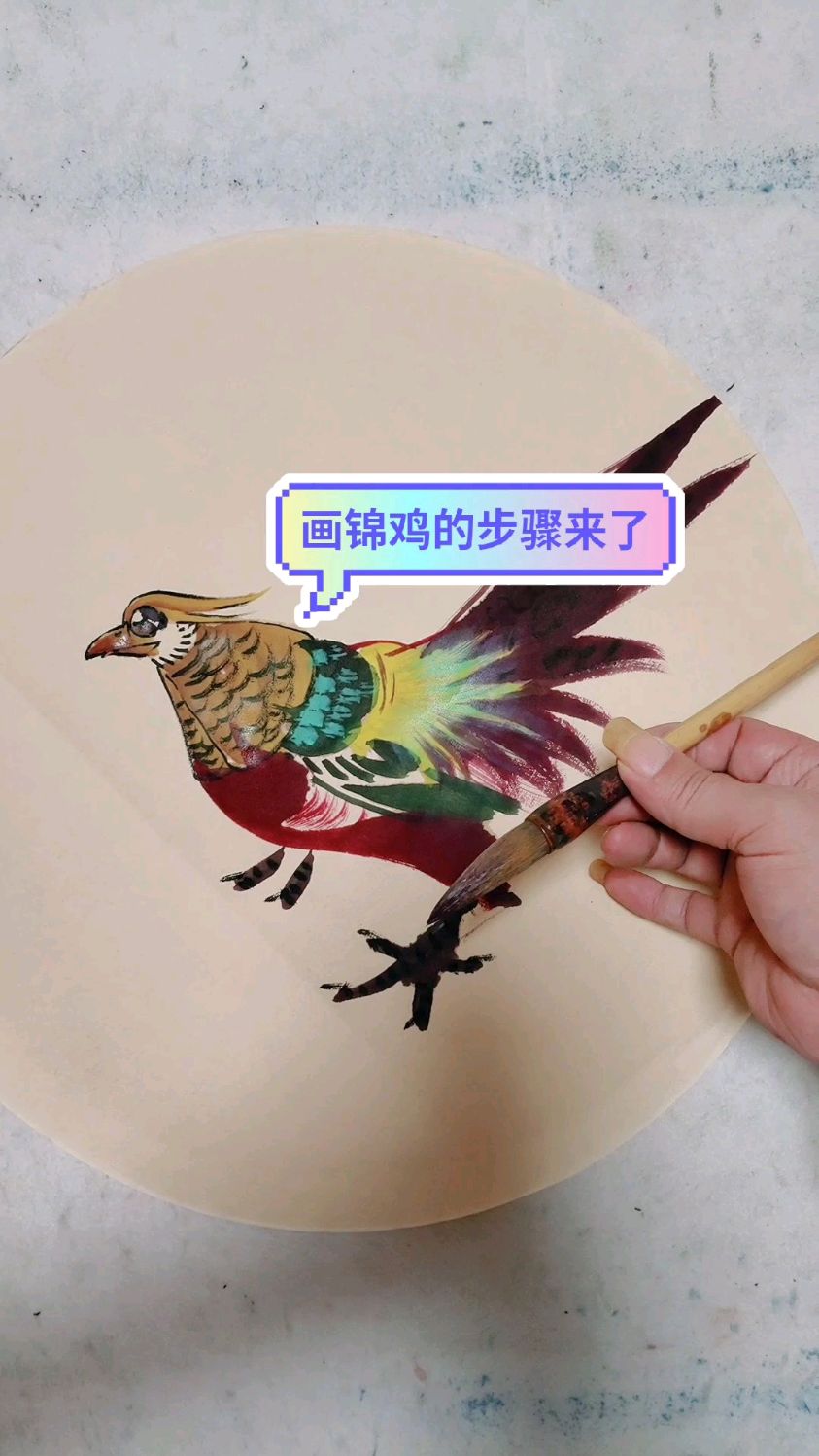 画锦鸡的步骤来了，一看就会