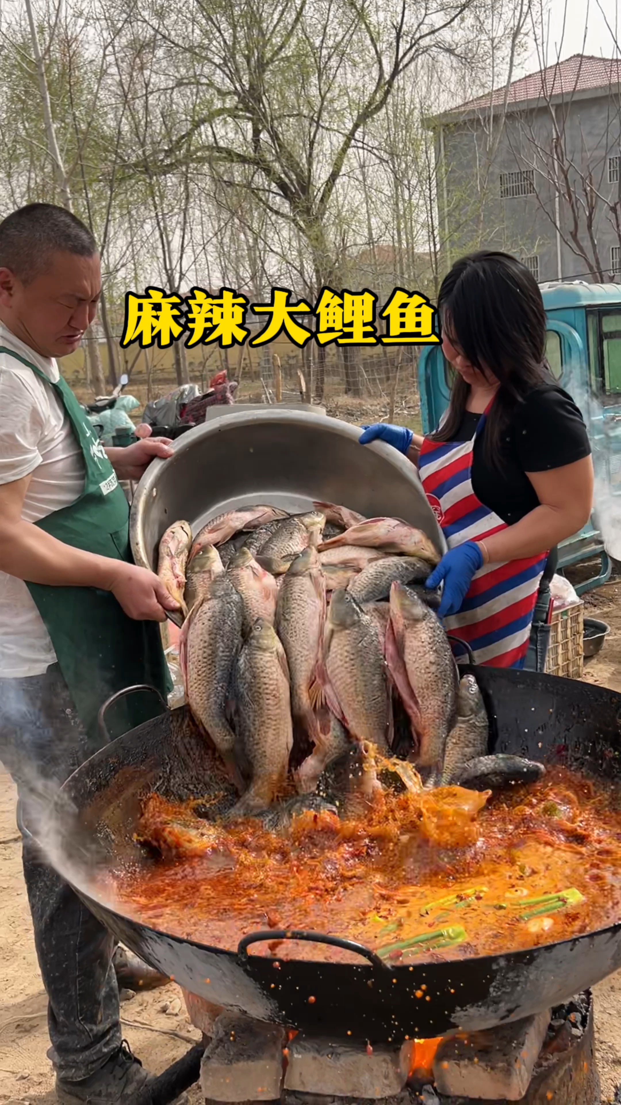 大席上做的麻辣大鲤鱼,下料真够猛的、炖鞋底都够味