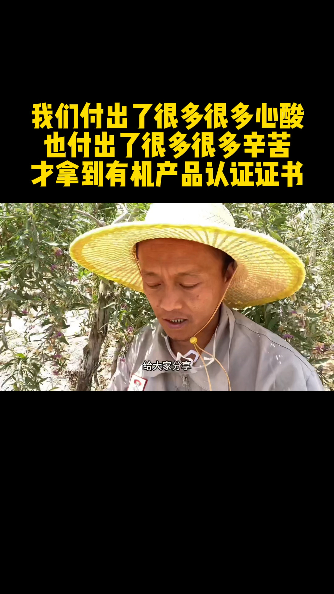 付出了很多很多心酸,也付出了很多很多辛苦,才拿到有机认证证书