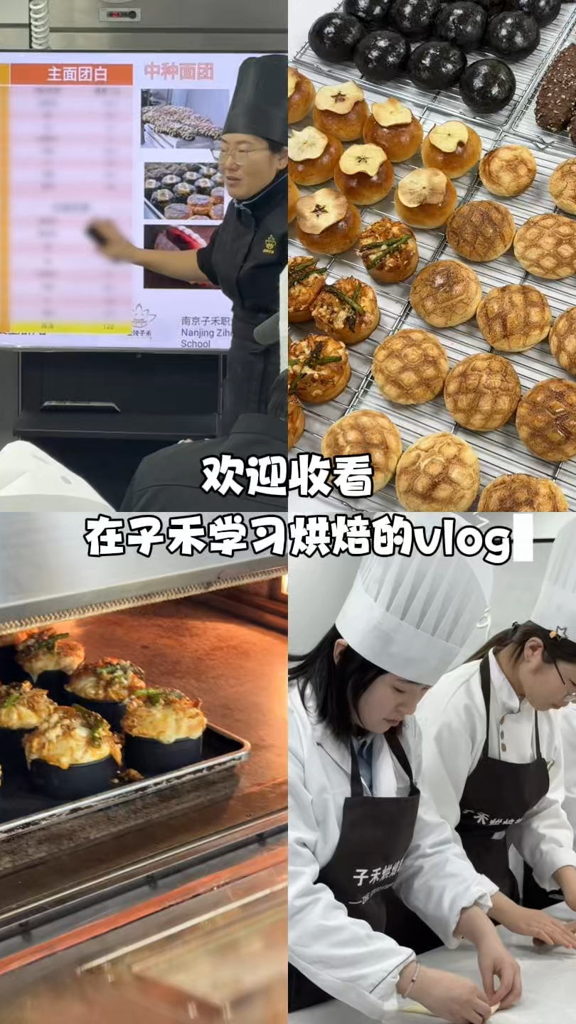 子禾烘焙面包课-零基础友好#学烘焙选子禾