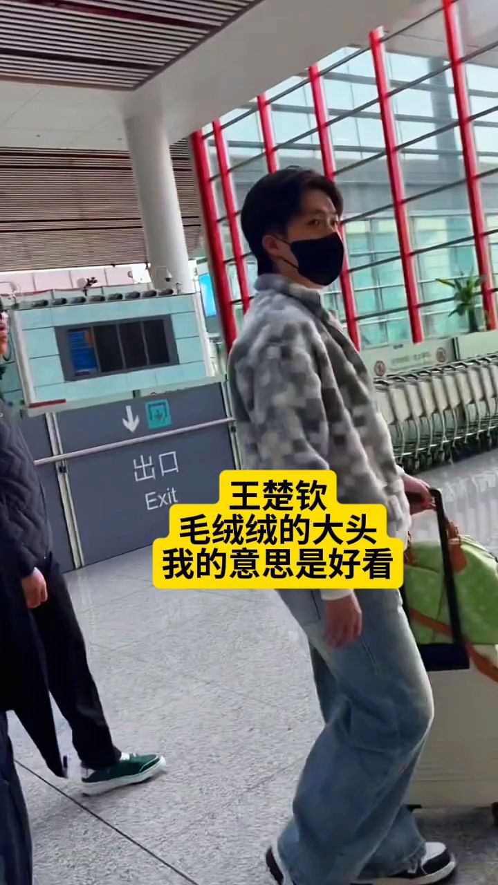 王楚钦 毛绒绒的大头 我的意思是好看