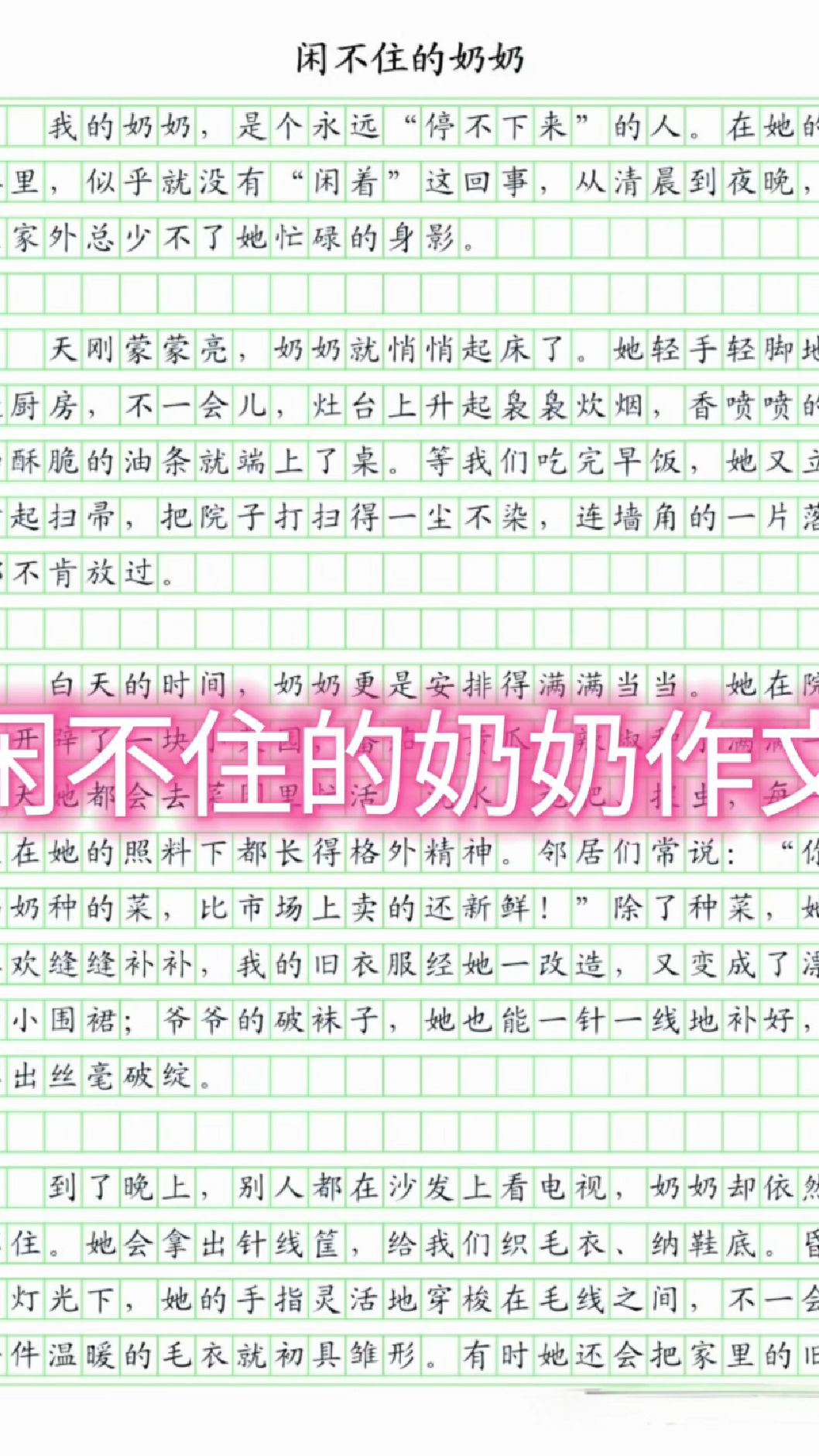 奶奶的爱,写满生活的每个角落,闲不住的手,是最温暖的陪伴。