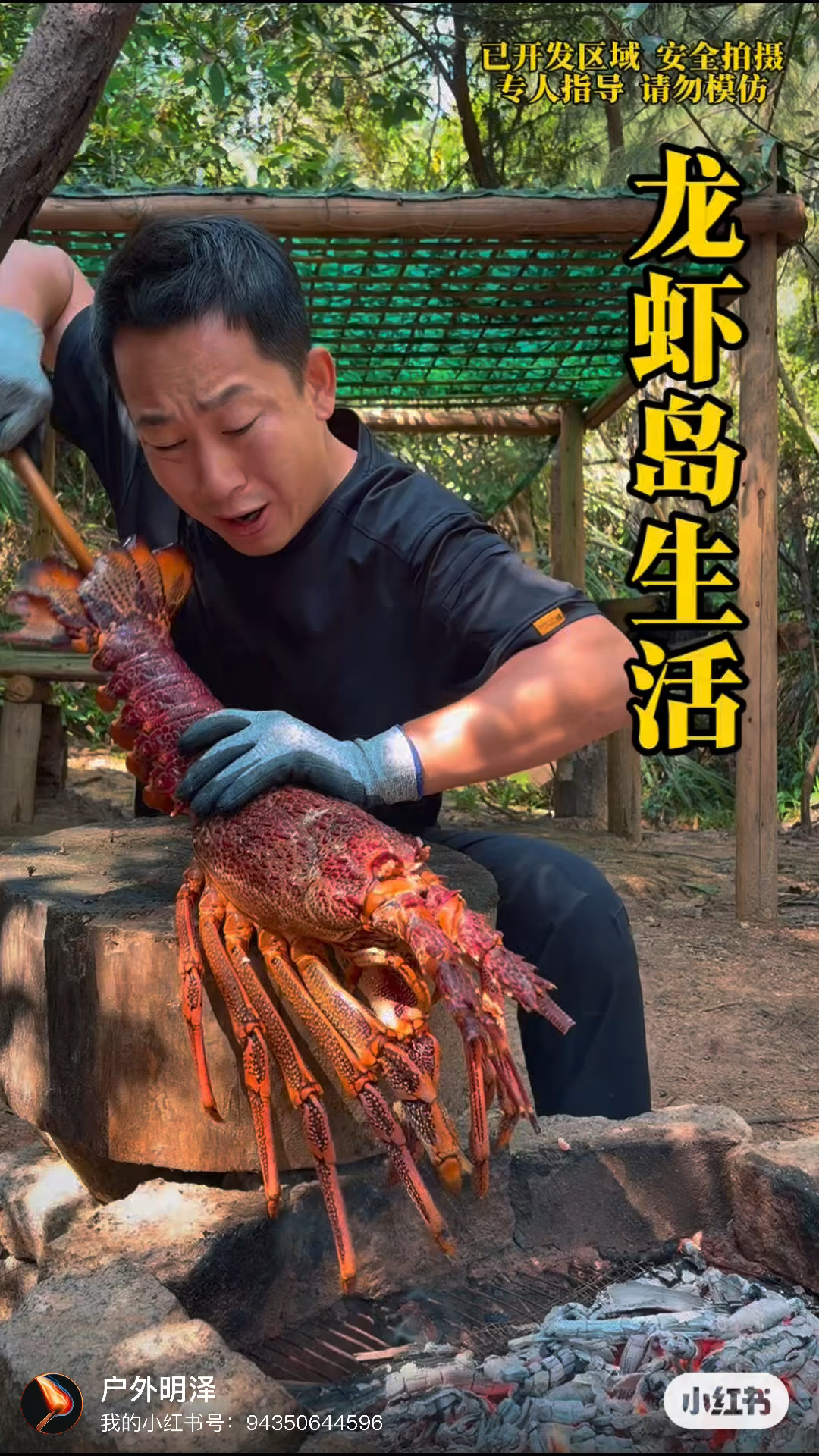 #我的乡村生活，炭烤龙虾