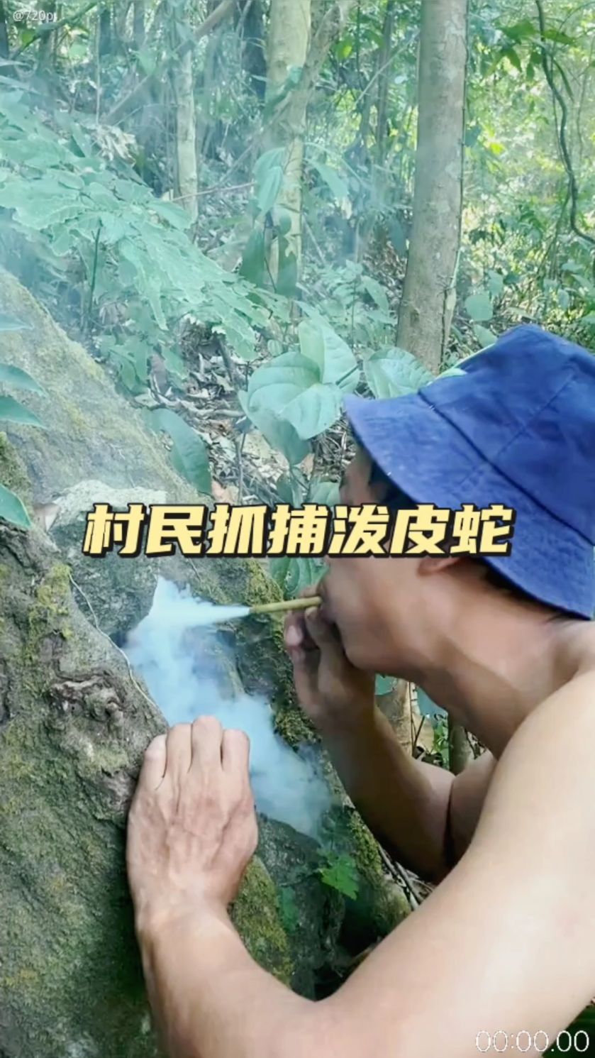 泼皮蛇咬伤村民家的狗狗,为了抓住这个祸害,村民决定泼皮蛇抓住