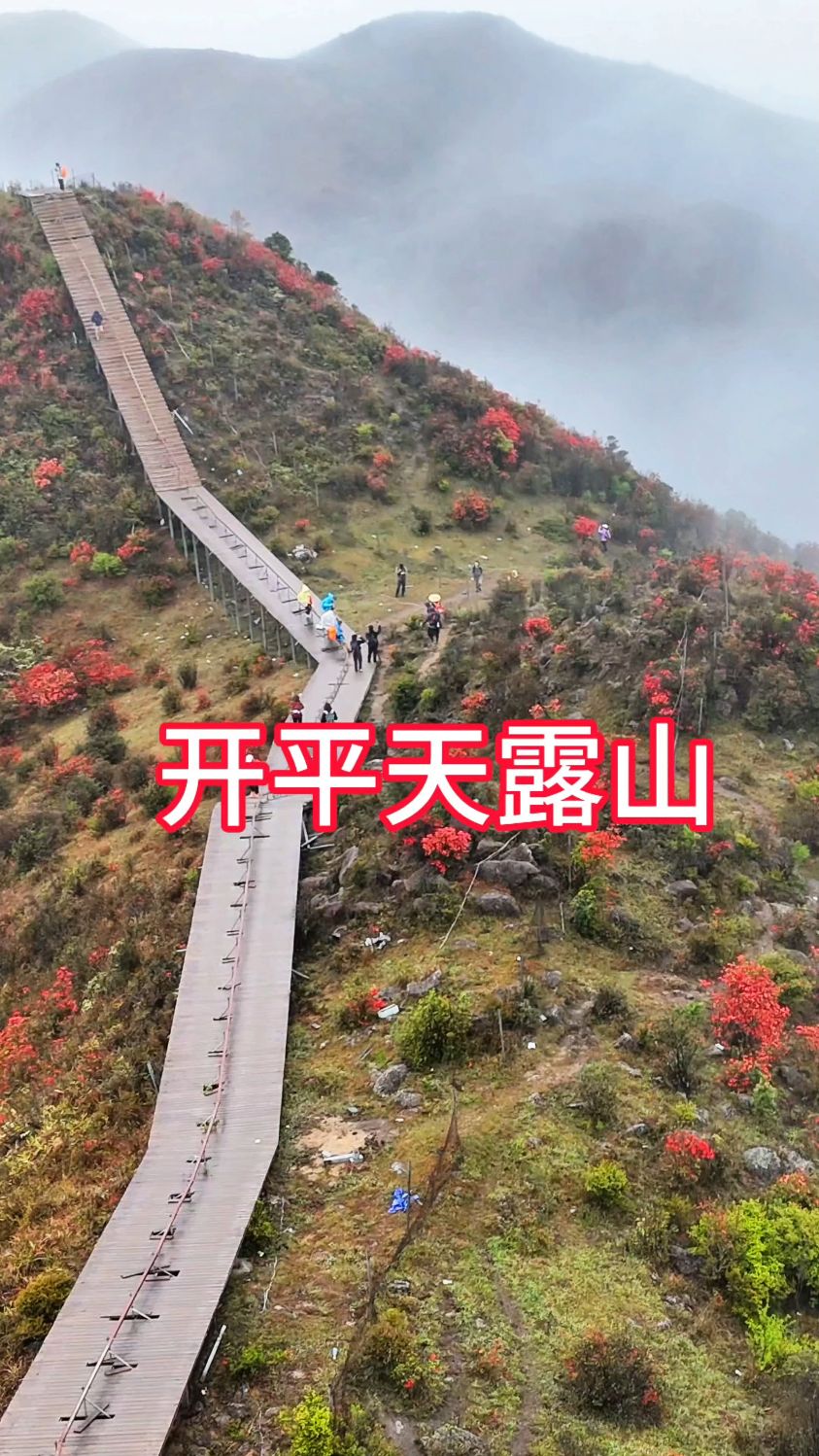 别再去武功山啦!天露山才是广东小武功山,高山草原,映山红花海