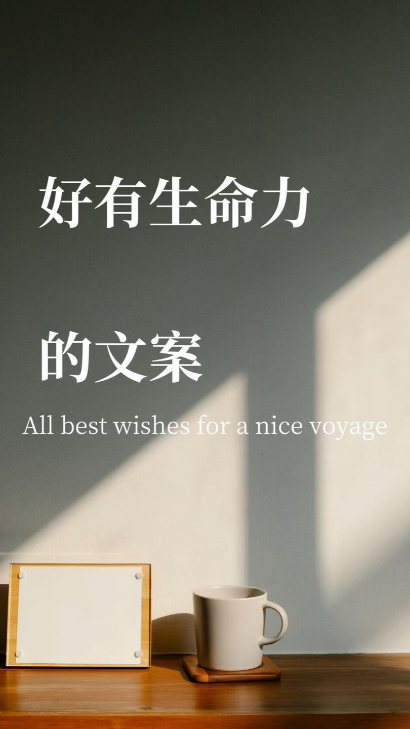 好有生命力的文案