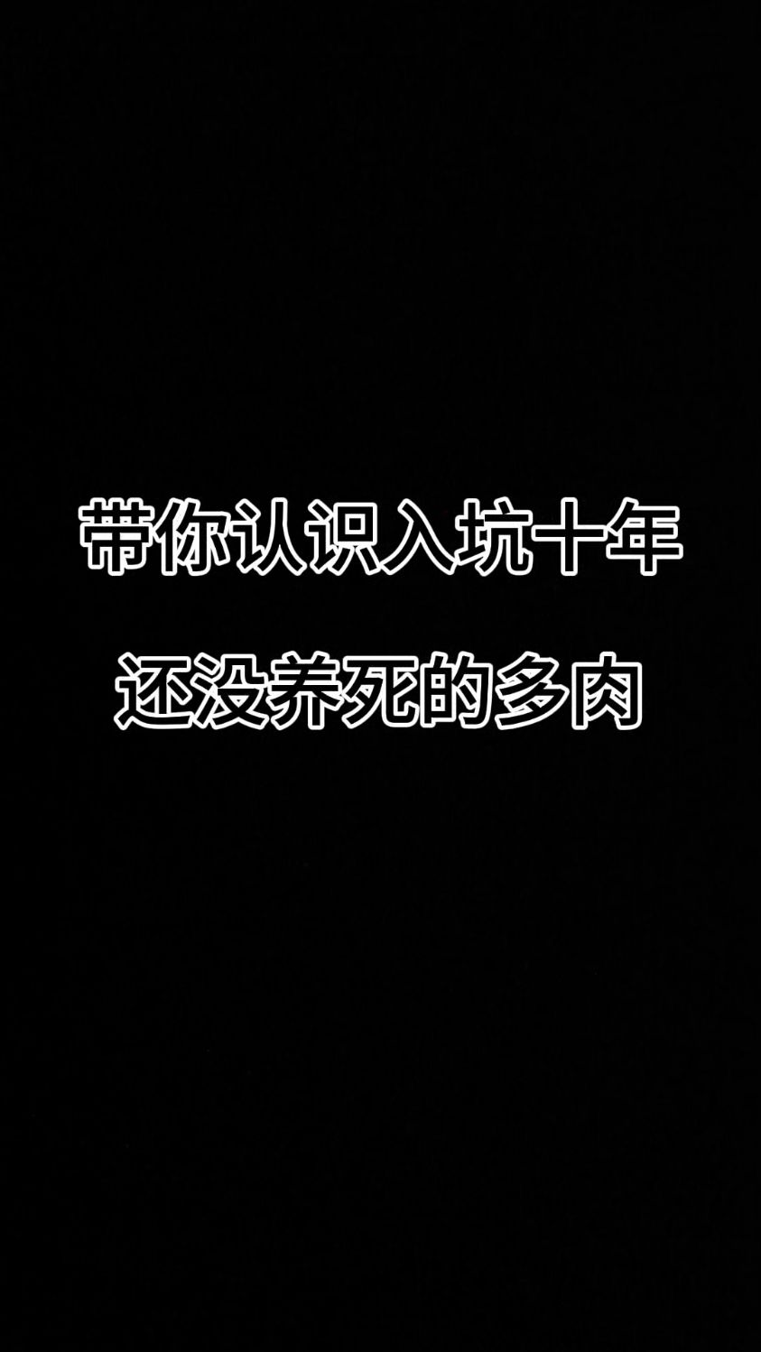 带你认识入坑十年还没有养死的多肉#好养的多肉品种 #认识多肉