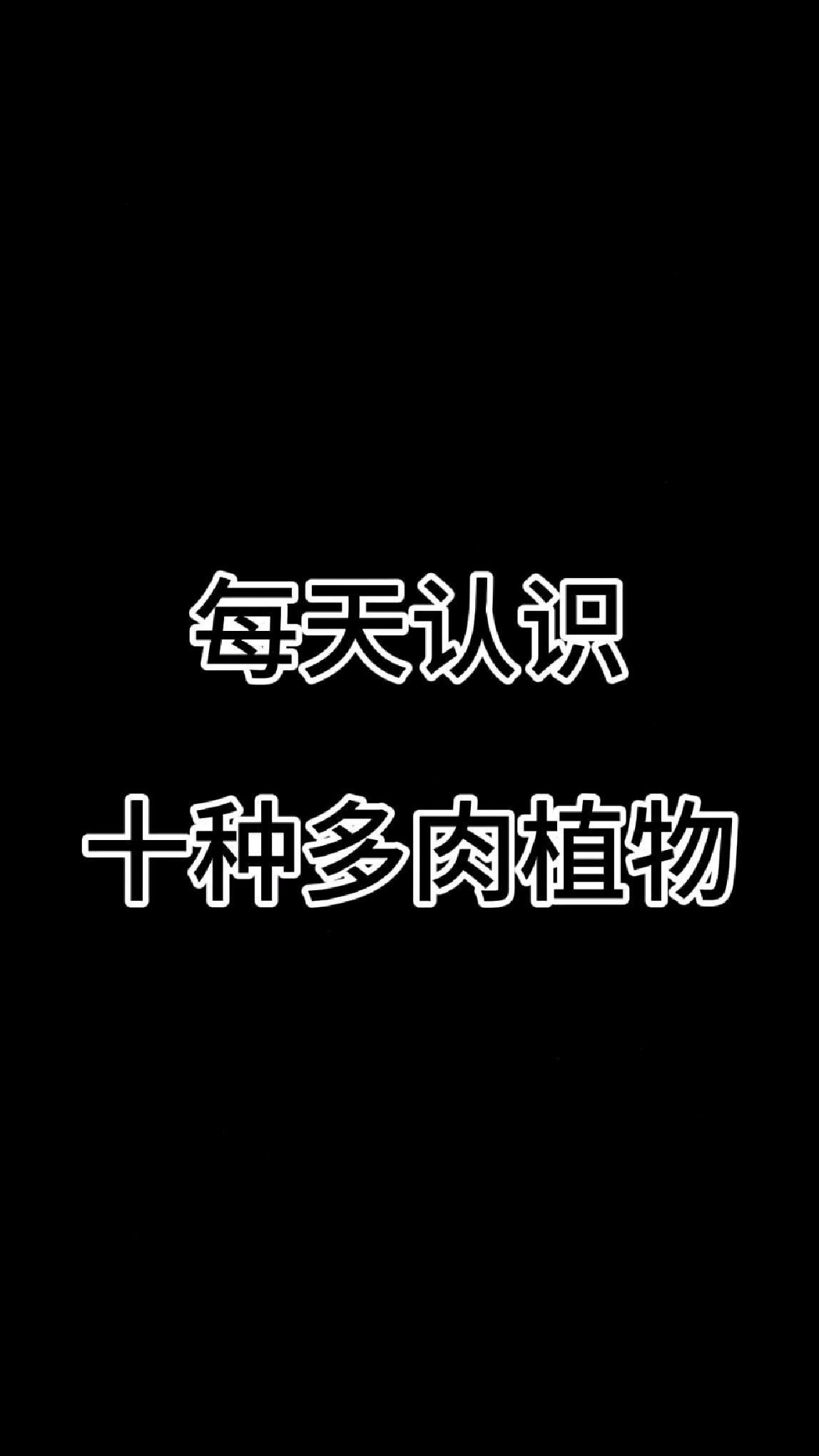 每天认识十种多肉植物#认识多肉##多肉品种推荐 #种草好物推荐