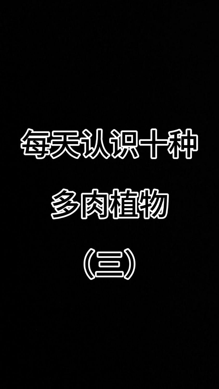 每天认识十种多肉植物 （三） #认识多肉植物 #多肉植物 #种草好物