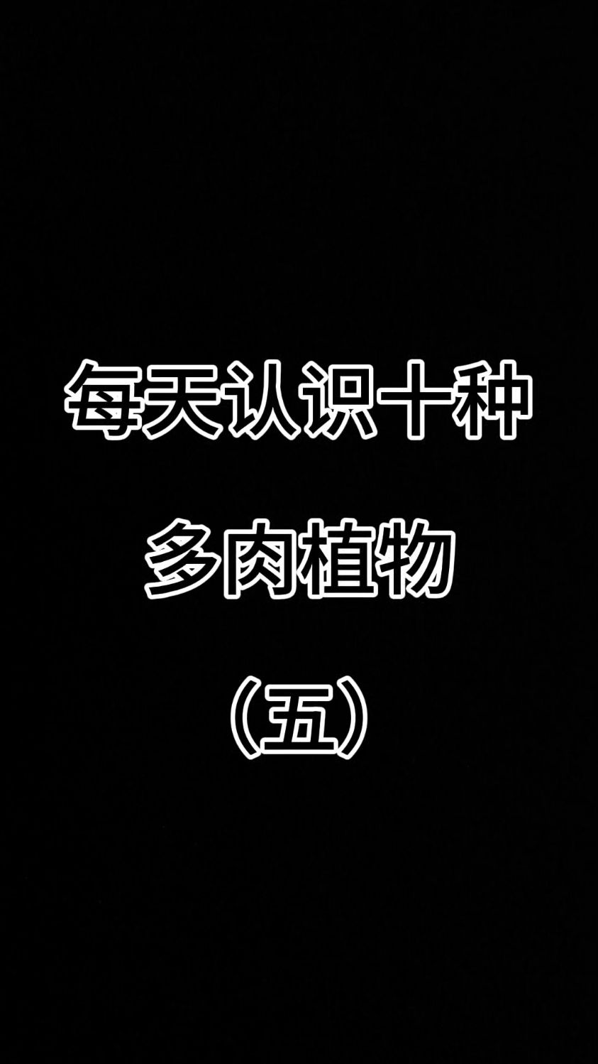 每天认识十种多肉植物，(五）#认识多肉植物#多肉品#种草好物推荐
