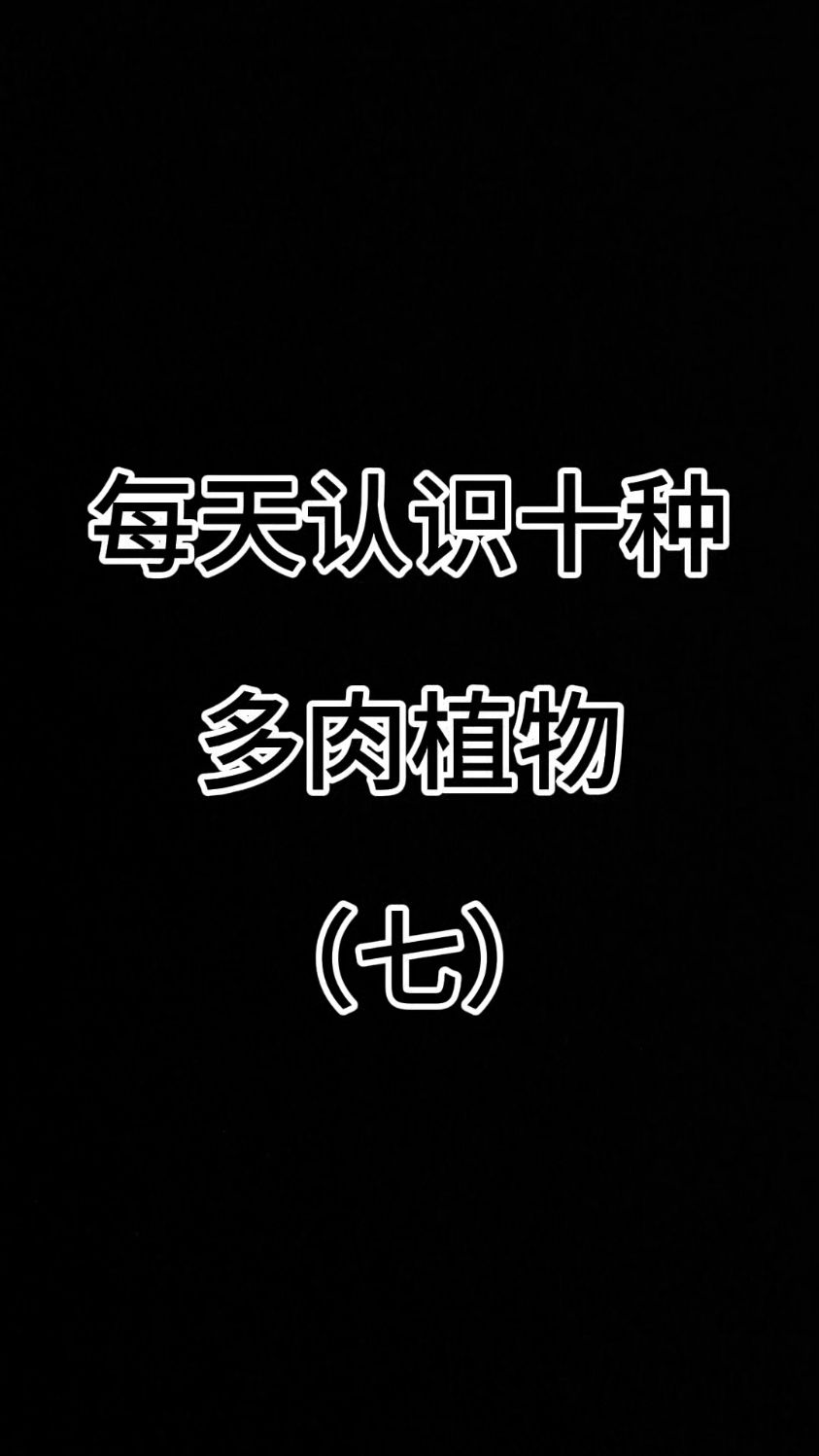 每天认识十种多肉植物（七） #认识多肉植物#多肉品种#好物分享##