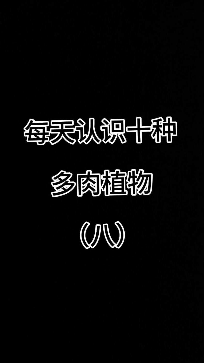 每天认识十种多肉植物（八） #认识多肉植物 #种草多肉 #种草好物