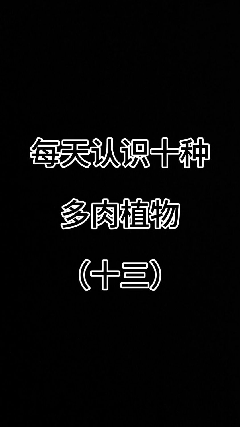 每天认识十种多肉植物（十三）#生石花 #肉锥花 #多肉品种##种草好