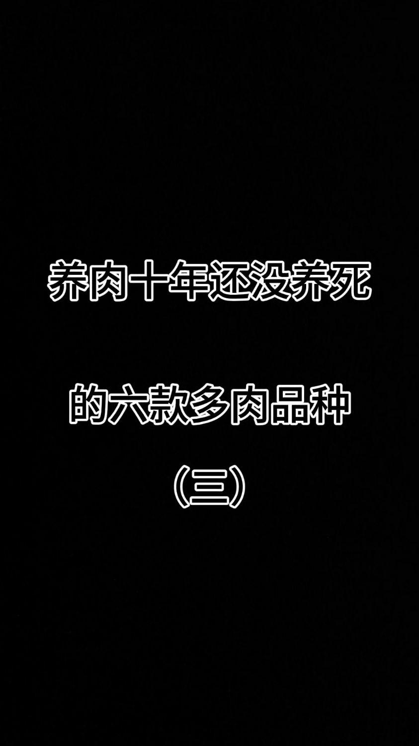 养肉十年还没养死的六款多肉品种（三）#灯美人 #稻田姬 #青星美人