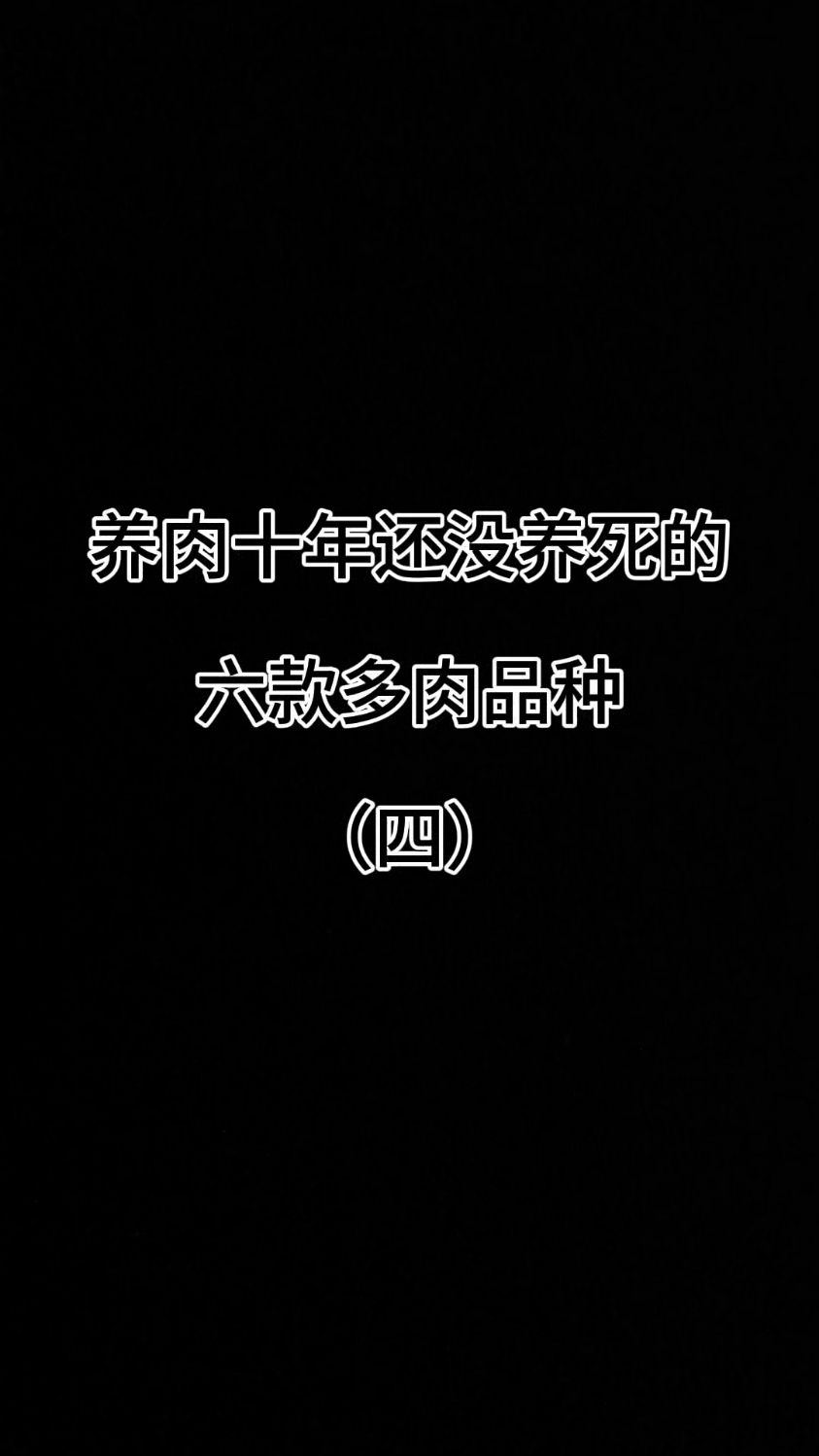 养肉十年还没养死的六款多肉品种（四）#认识多少植物 ##特玉莲#