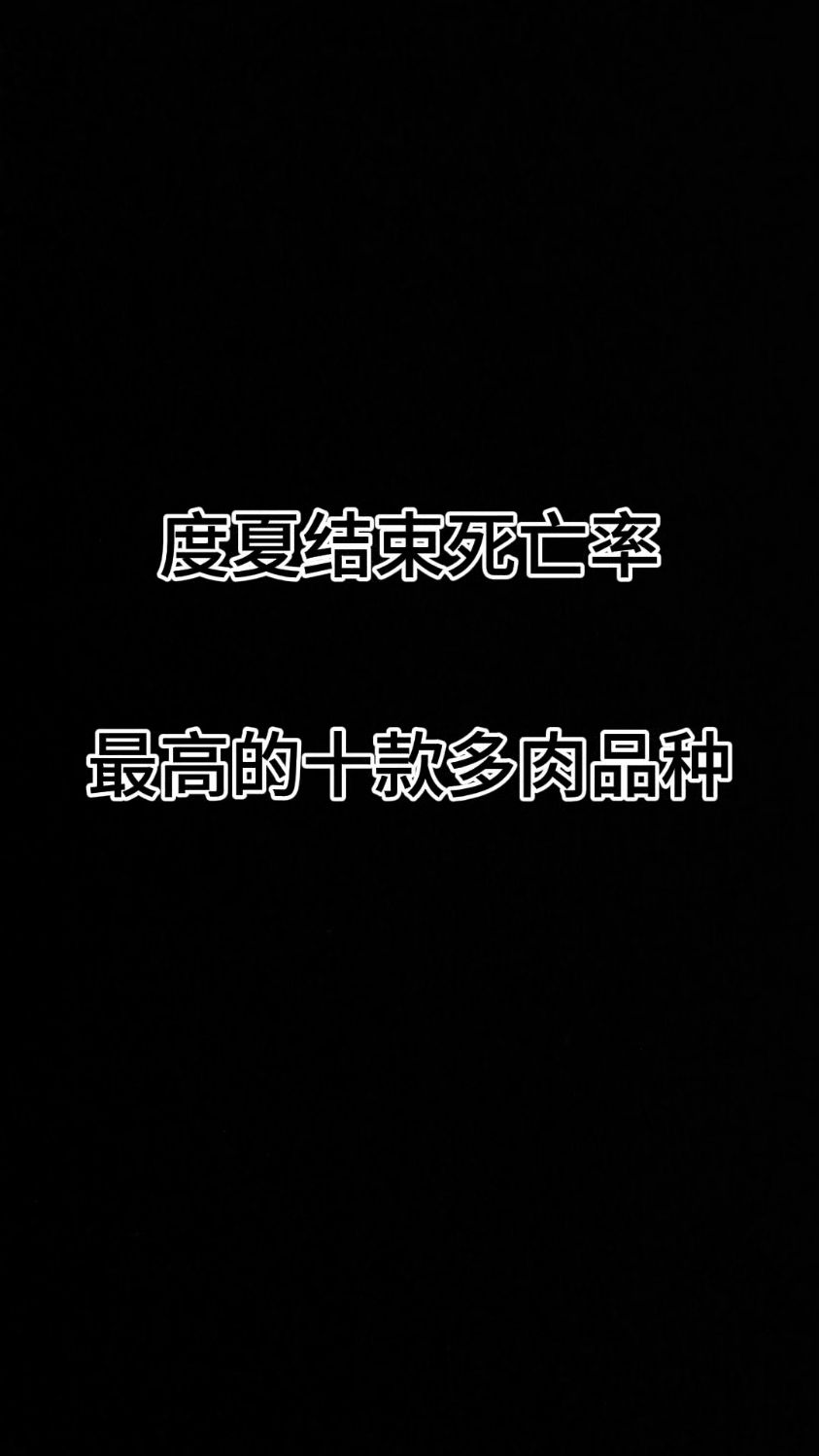 度夏结束死亡率最高的十款多肉品种