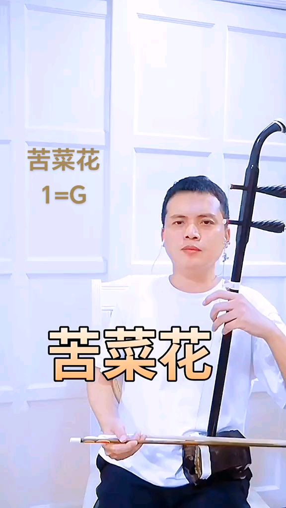 《苦菜花》电影插曲 二胡演奏：蔡峰