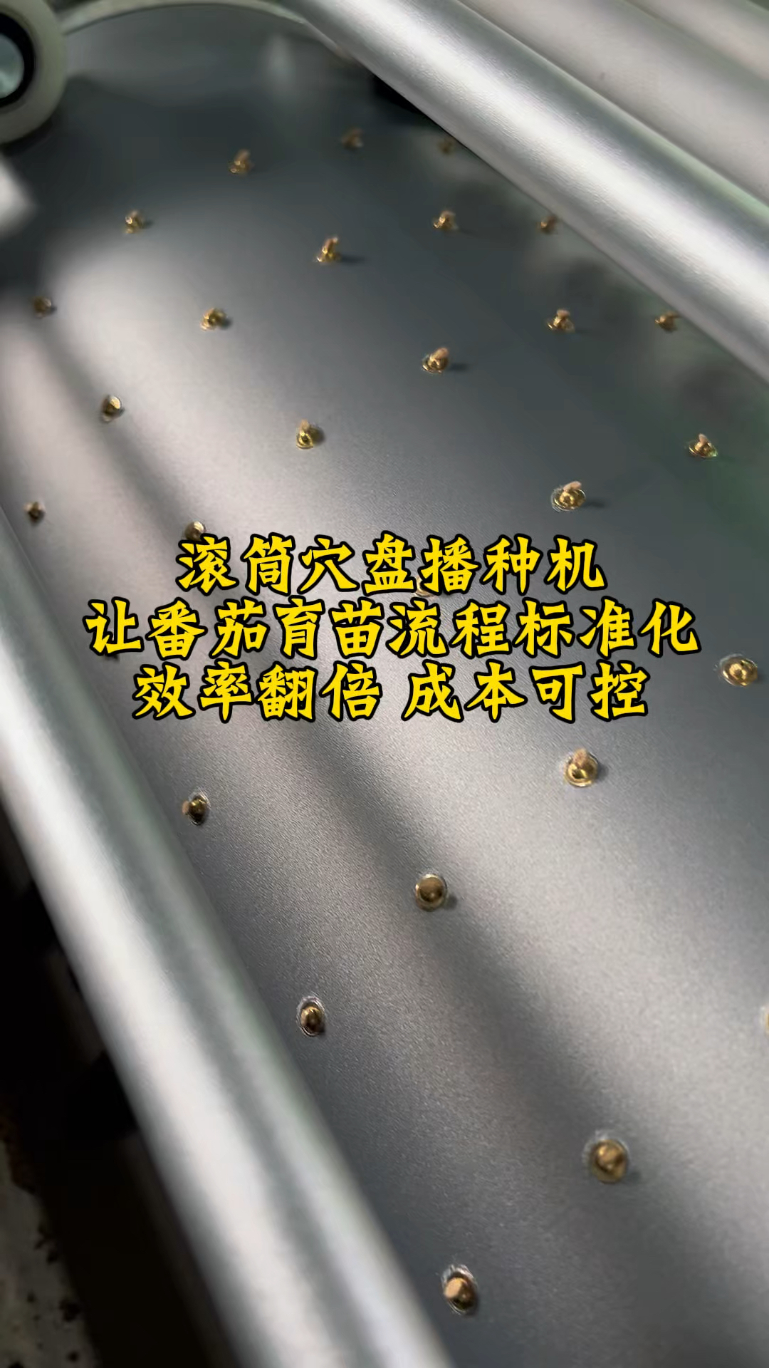 滚筒穴盘播种机,让蔬菜育苗实现标准化、智能化、精密化