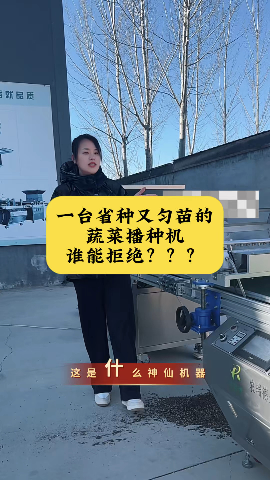 甘蓝蔬菜播种机，高效精准，育苗超省力！#穴盘播种机#蔬菜育苗机