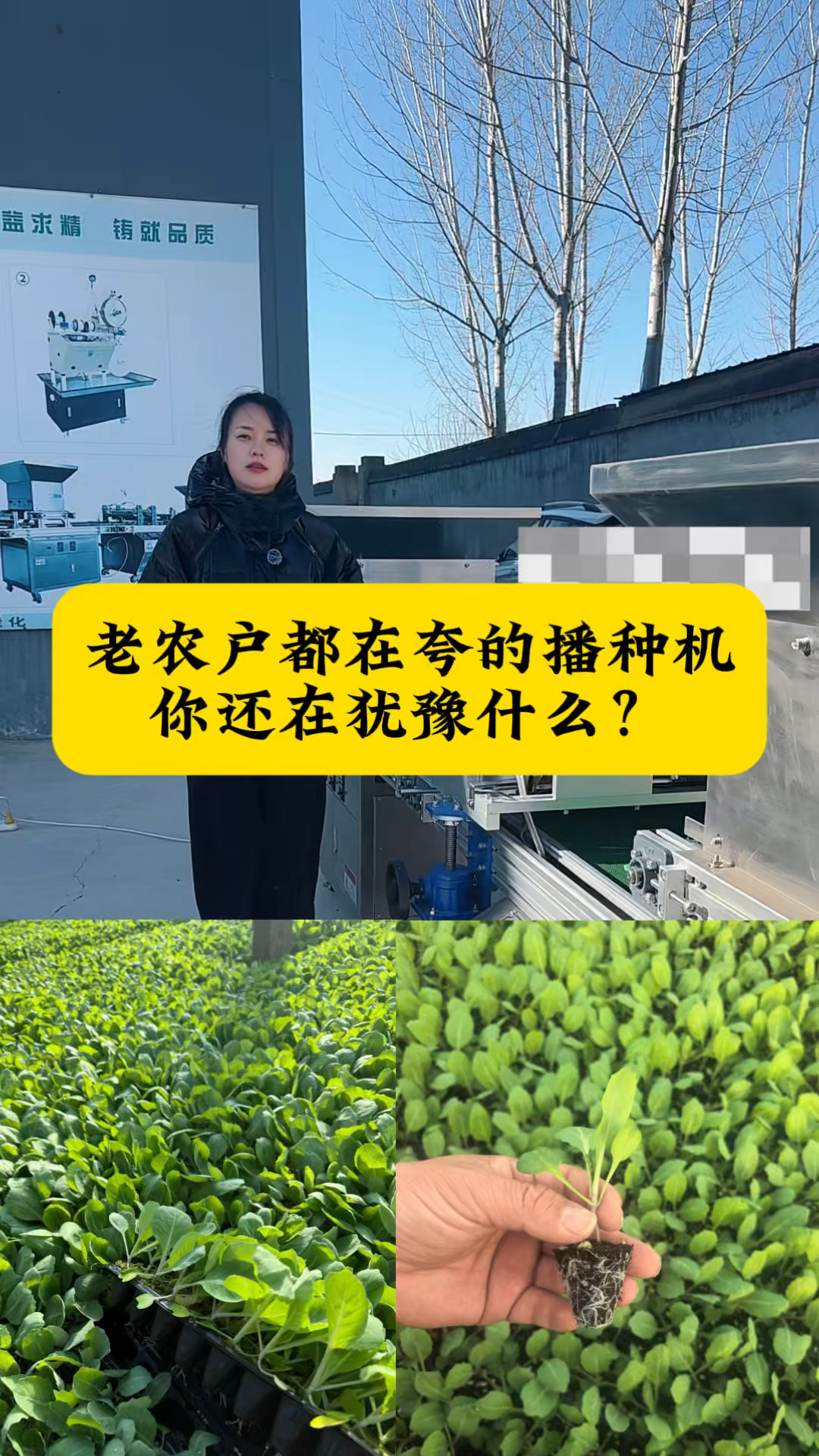 菜花蔬菜播种机，育苗户们都在夸的育苗神器！#蔬菜播种机