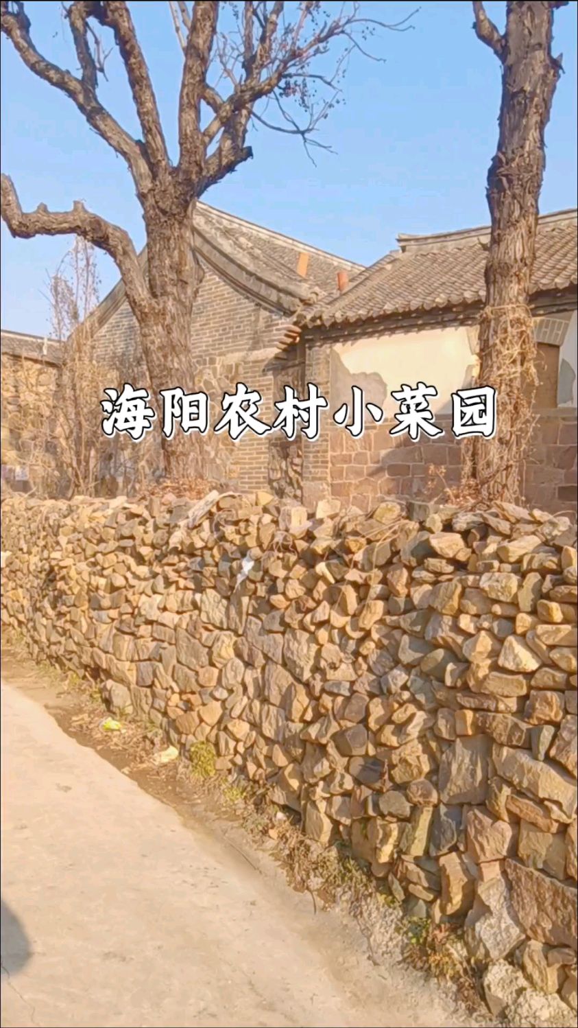 你们见过这种用石头垒成的小菜园围墙吗?