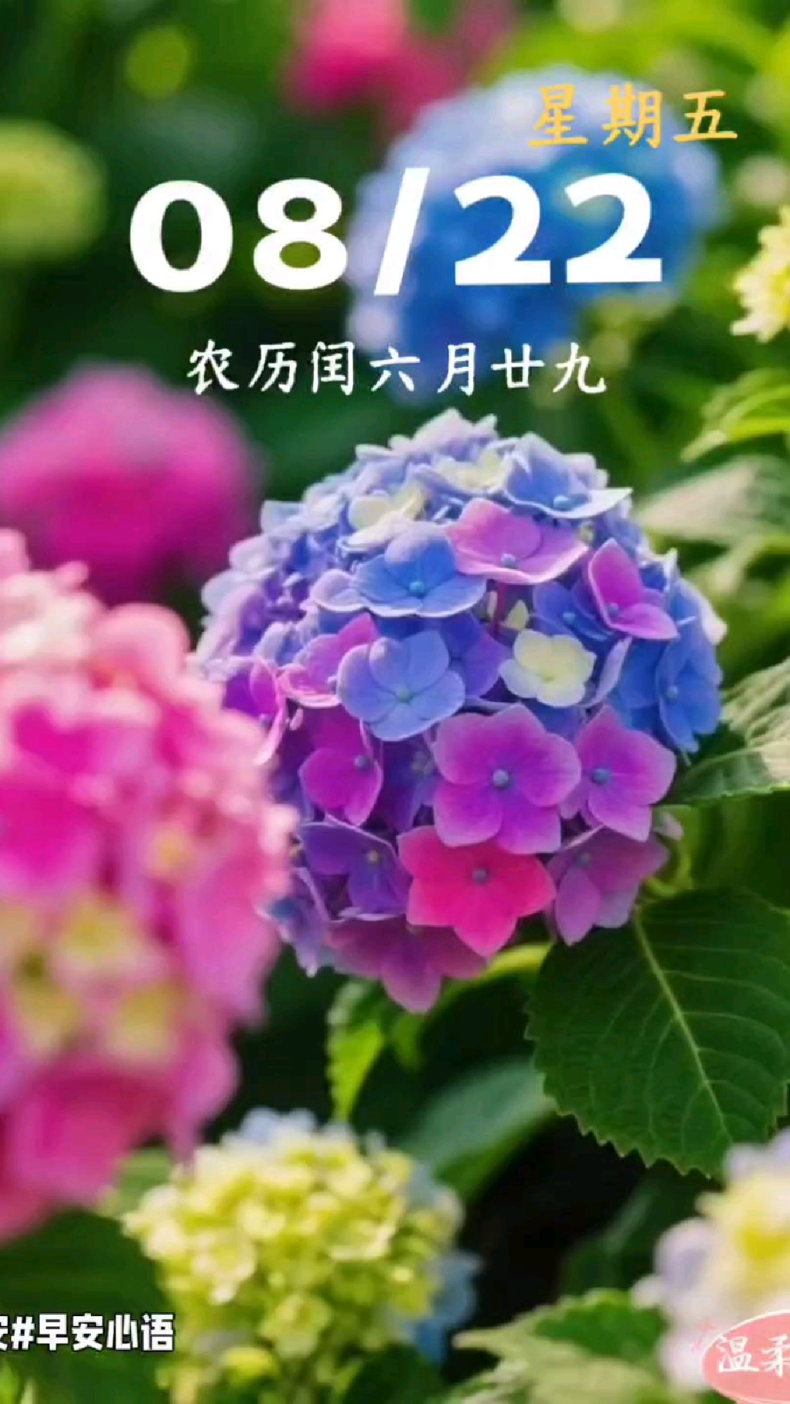 8月22日早安心语 人生真正的温暖藏在日常里