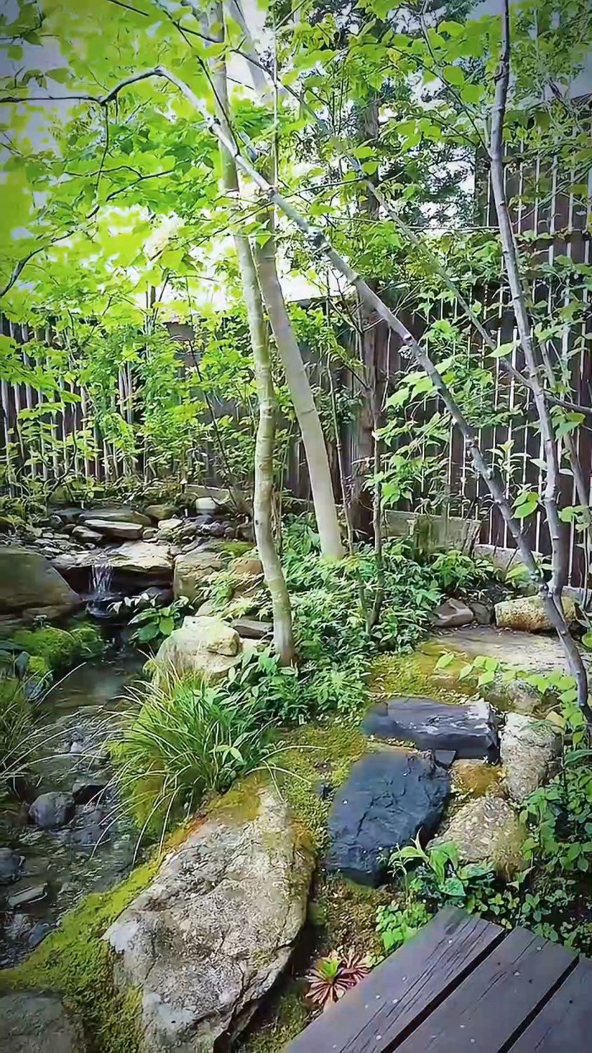 生态水景的水生植物