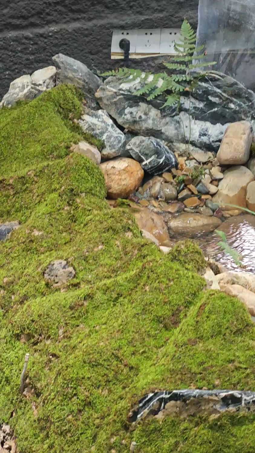 办公室摸鱼新姿势！耗时两天打造溪流小景